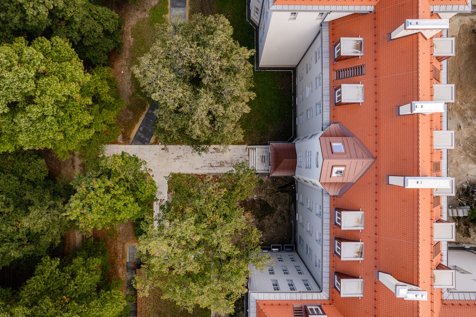 Senkrechte Drohnenaufnahme auf die Dachlandschaft mit orangefarbenen Ziegeln und Baumbestand
