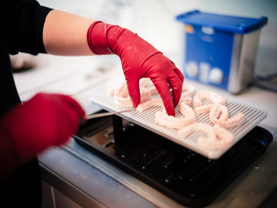 Mitarbeiterin löst 3D-gedruckte Zahnmodelle vom Druckträger