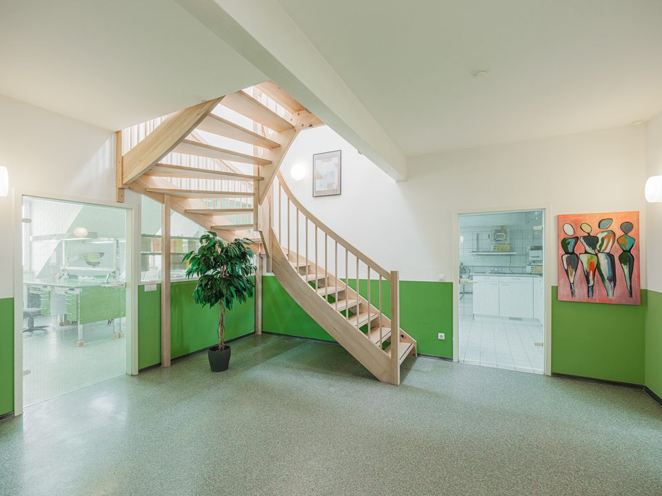 Holztreppe im Laborflur zwischen Glasräumen, Pflanze am Fuß und Kunstwerk rechts