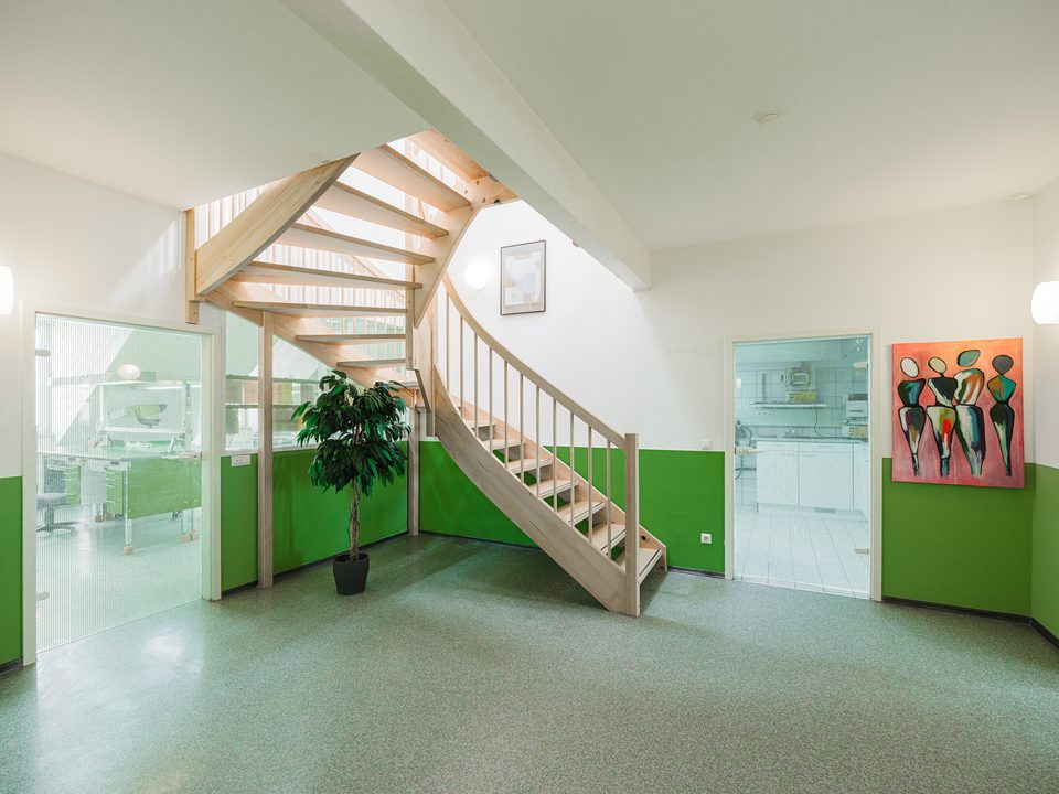 Holztreppe im Laborflur zwischen Glasräumen, Pflanze am Fuß und Kunstwerk rechts