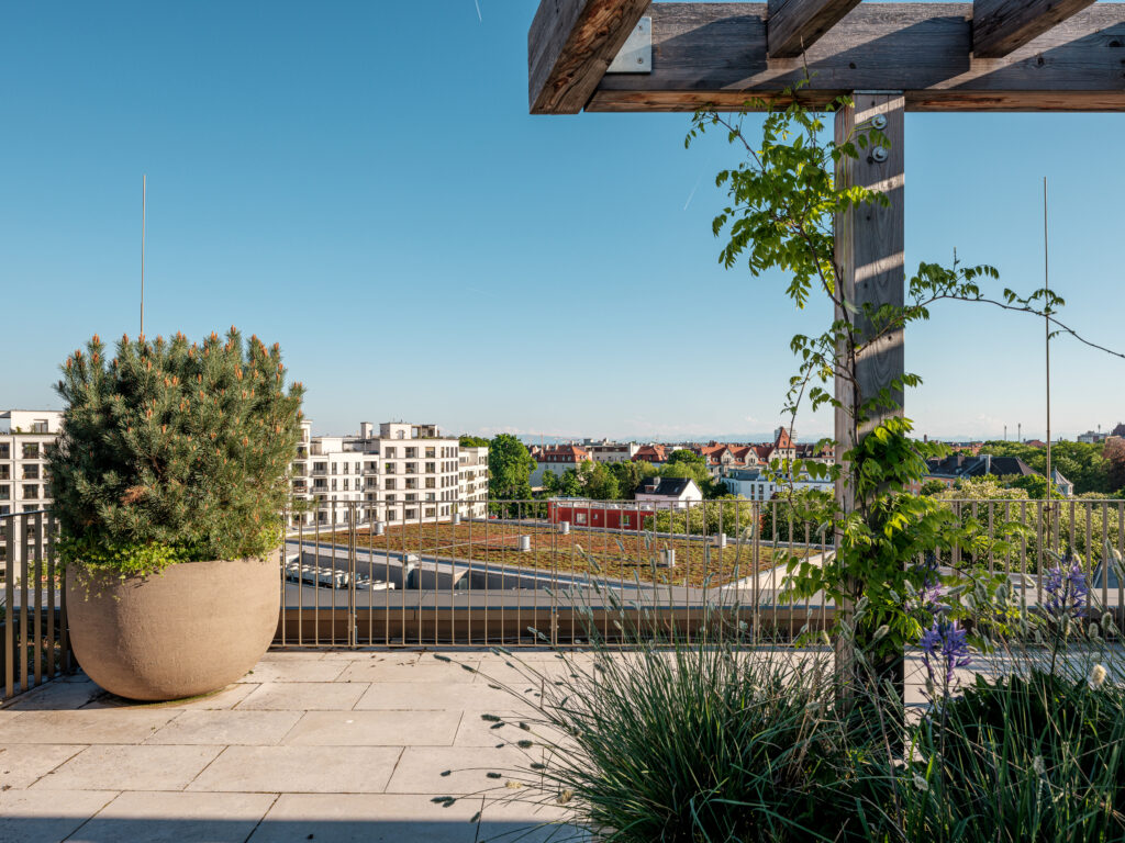 Ein Balkon mit einer Holzpergola, unter der eine Sitzgruppe steht. Der Balkon ist mit üppigen Pflanzen, darunter lila Blüten und Gräser, dekoriert. Ein großer Topf mit einem immergrünen Strauch steht in der Ecke. Im Hintergrund erstreckt sich ein weiter Blick auf München mit Wohnhäusern, Bäumen und einem Kirchturm unter einem klaren blauen Himmel. Am Horizont sind die Alpen erkennbar.